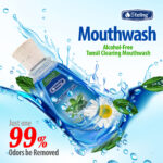 Alcohol-Free Mint Mouthwash – Antibacterial Oral Care, 200ml, Long-Lasting Fresh Breath - Image 13