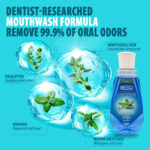 Alcohol-Free Mint Mouthwash – Antibacterial Oral Care, 200ml, Long-Lasting Fresh Breath - Image 5